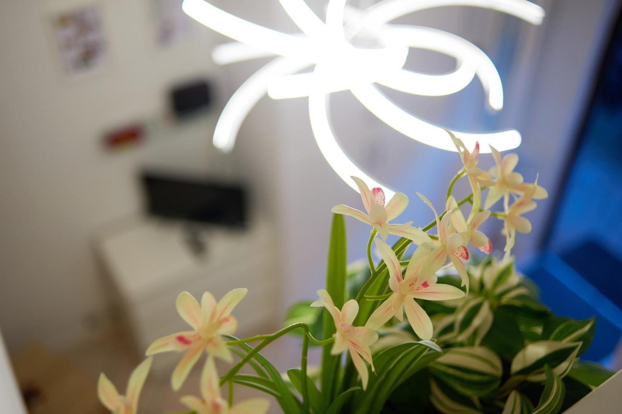 Isola Brera Duomo - Antica Atmosfera - Lovable Cozy Apartment — Photos 2